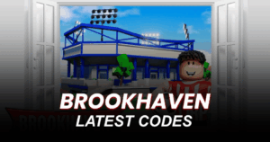 Brookhaven Codes