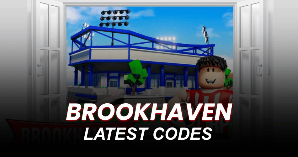 Brookhaven Codes