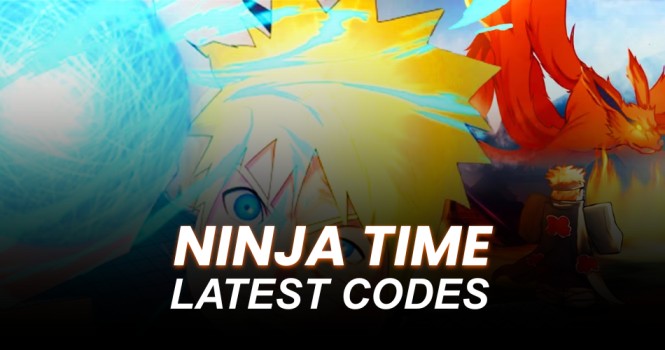 Ninja Time Codes