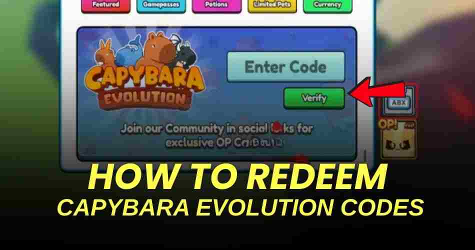 How to redeem codes