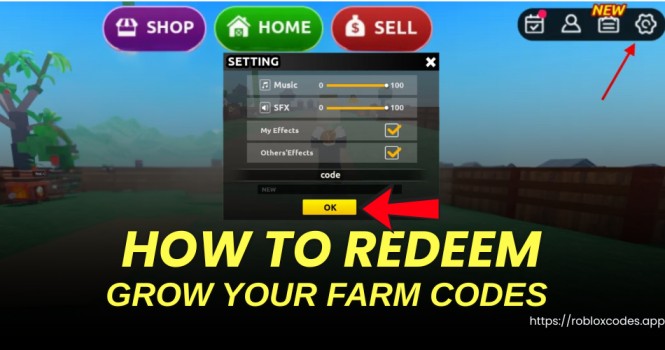 How to redeem codes
