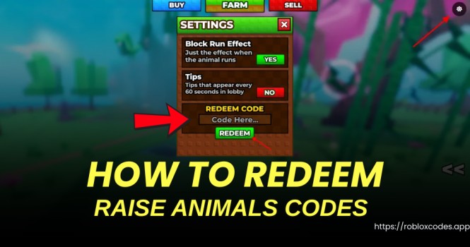 How to redeem codes