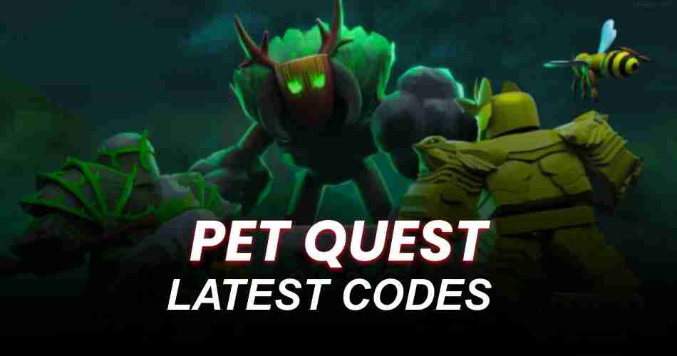Pet Quest Codes