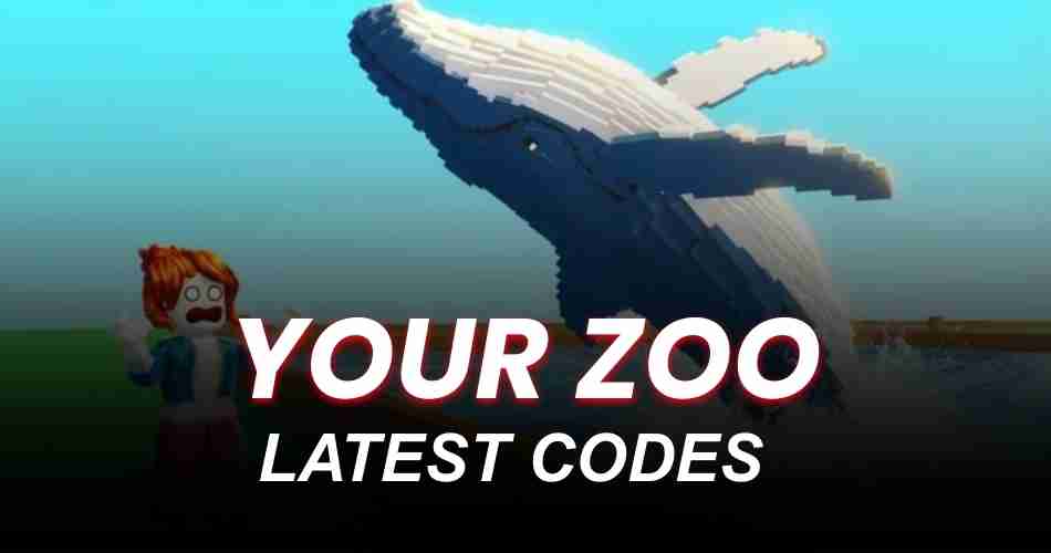 Your Zoo Codes