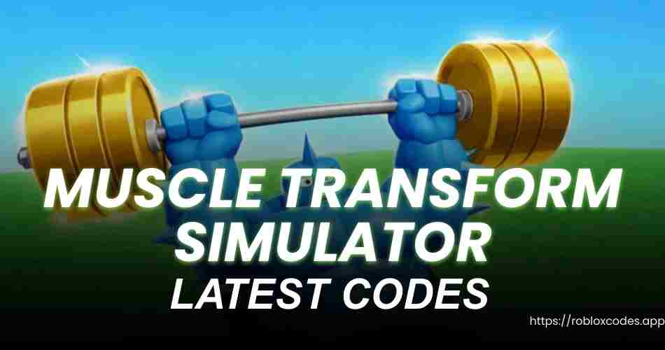 Muscle Transform Simulator Codes