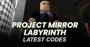 Project Mirror Labyrinth Codes