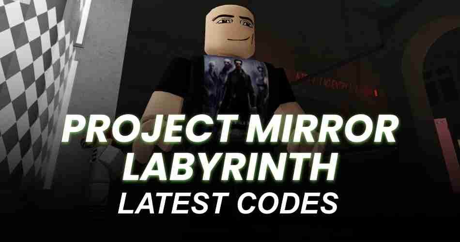 Project Mirror Labyrinth Codes