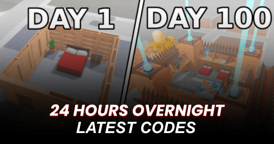 24 Hours Overnight Codes