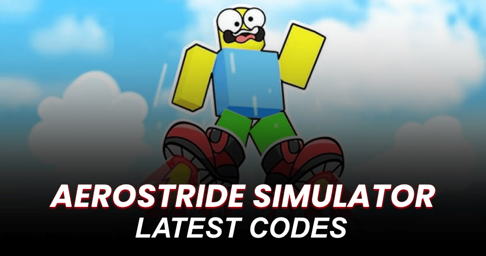 AeroStride Simulator Codes