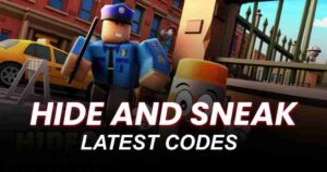 Hide and Sneak Codes