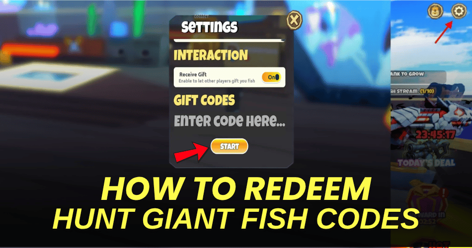 How to redeem codes