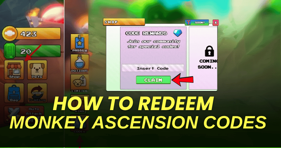 How to redeem codes