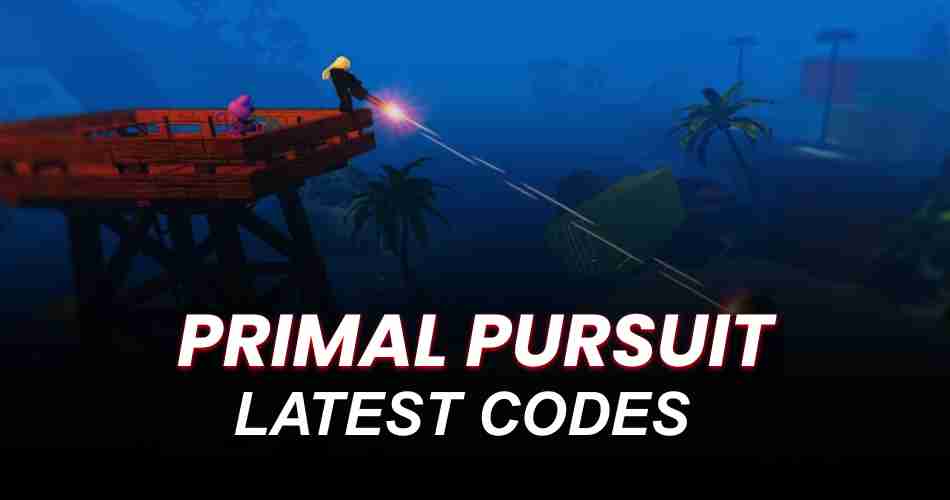 Primal Pursuit Codes