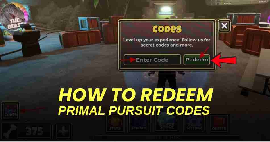 How to redeem codes