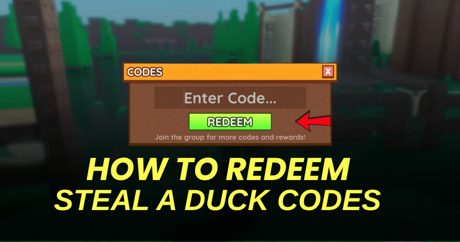 How to redeem codes