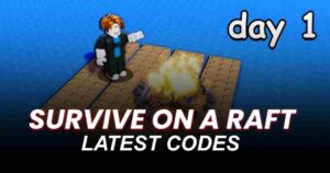Survive on a Raft Codes