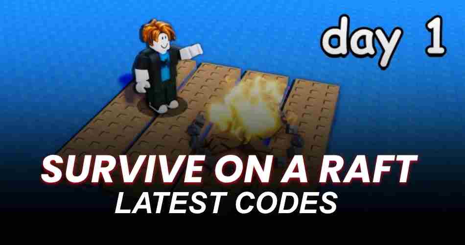 Survive on a Raft Codes