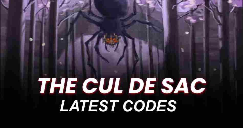 The Cul De Sac Codes