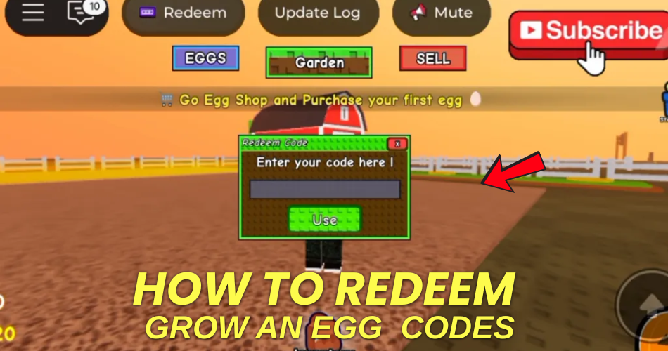 How to redeem codes