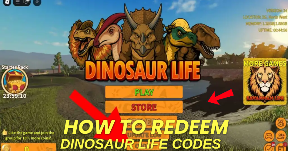 How to redeem codes