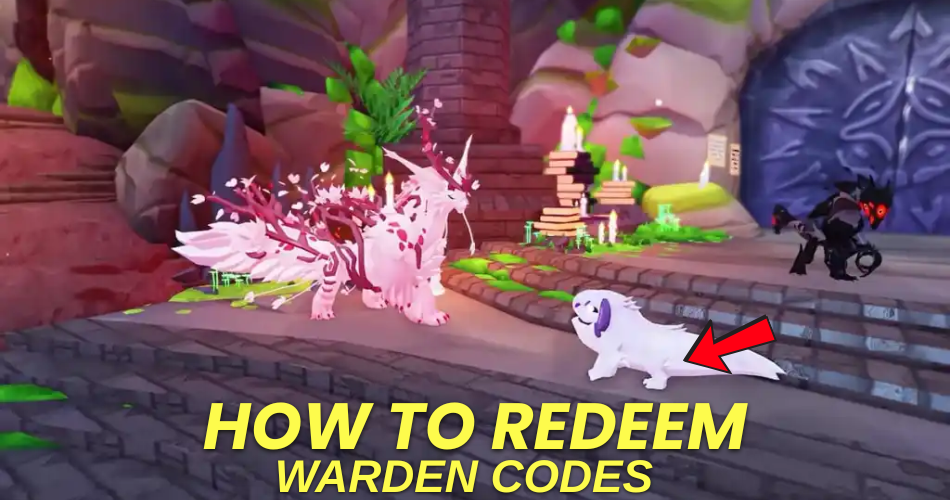 How to redeem codes